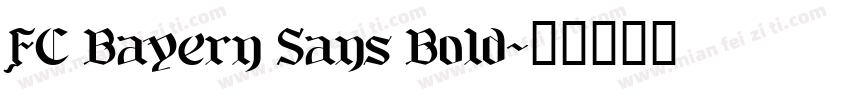 FC Bayern Sans Bold字体转换